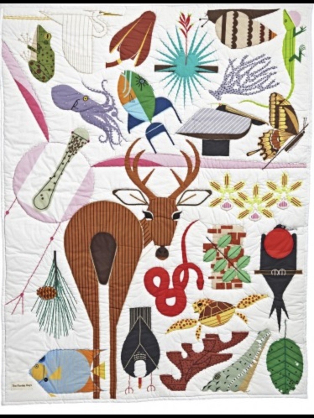 Crate & Barrel Land Of Nod Florida Keys Quilt